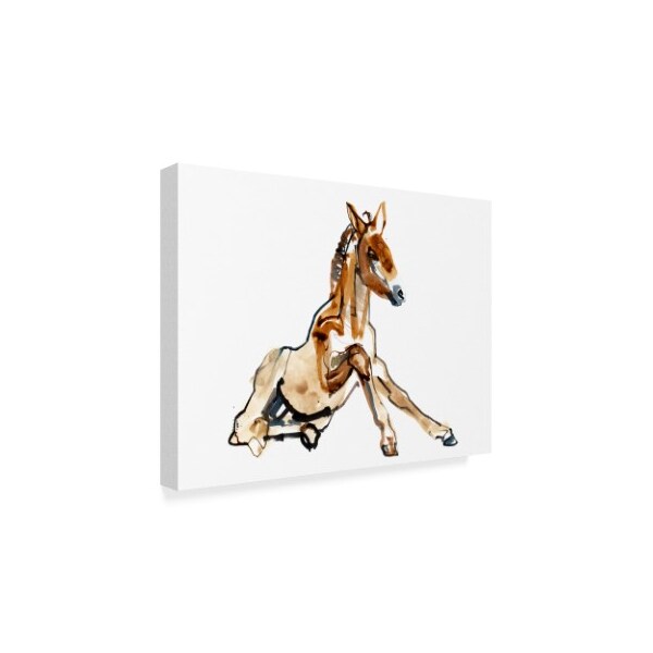 Mark Adlington 'Ochre Foal Przewalski' Canvas Art,24x32